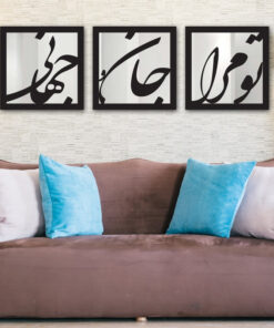 تابلو آینه سالی وان مدل NS14