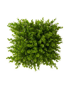 دیوار سبز مصنوعی مدل برجسته سایز 25×25 سانتی متر