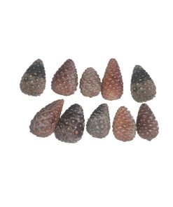 دکوری مدل میوه کاج بسته 10عددی
