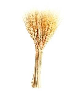 دسته گل خشک مدل خوشه گندم کد 70