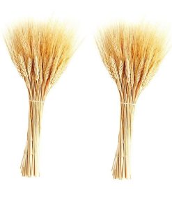 دسته گل خشک مدل خوشه گندم کد 20 بسته دو عددی